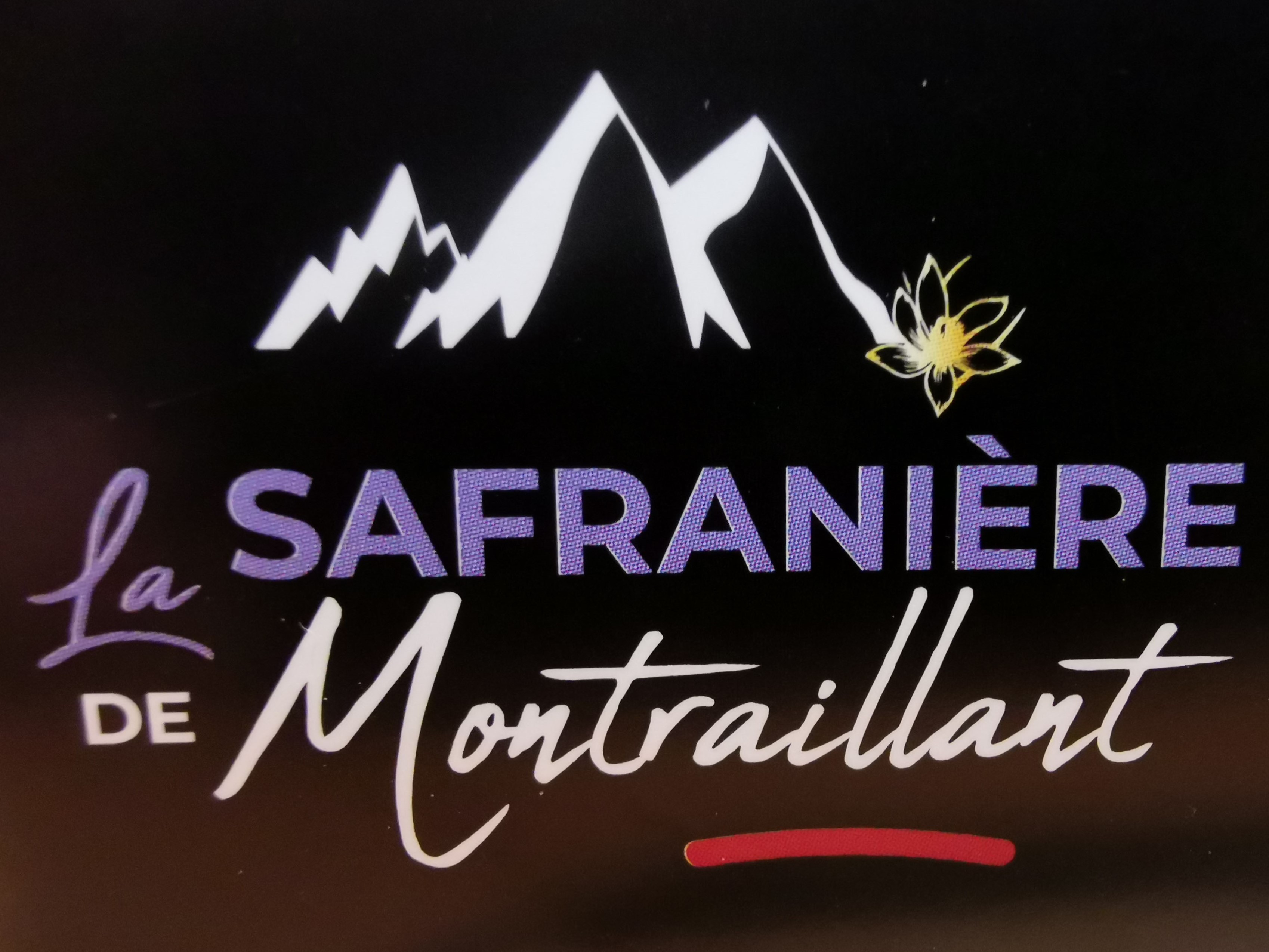 SAFRANIERE DE MONTRAILLANT